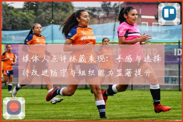 媒体人点评林葳表现：手感与选择待改进防守与组织能力显著提升